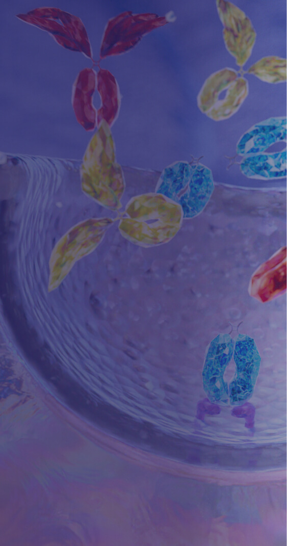 Header image: Image of FcRn recycling with IgG autoantibodies and VYVGART binding to FcRn in an endosome