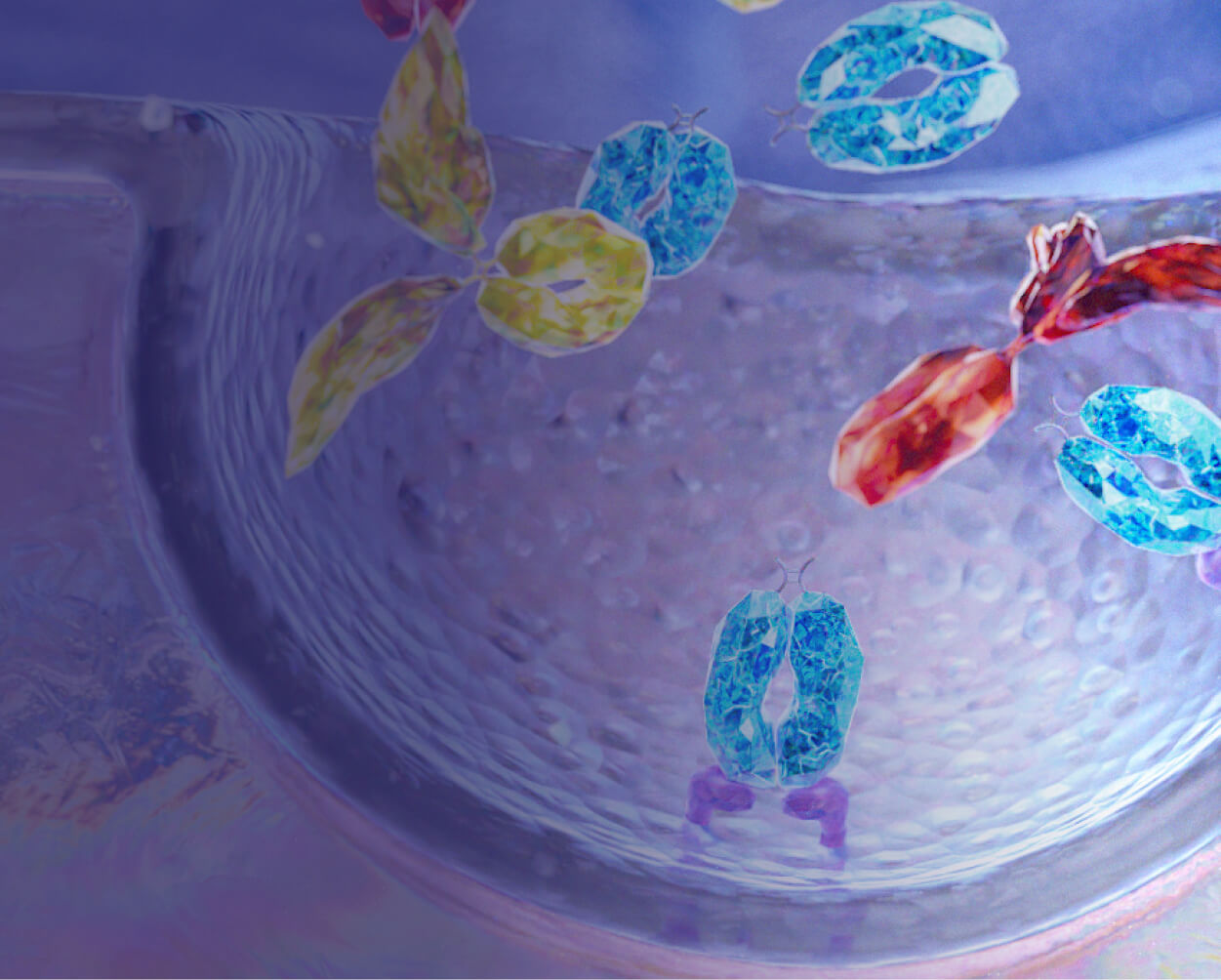 VYVGART Hytrulo targets FcRn to IgG autoantibodies