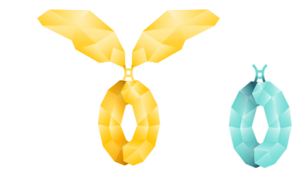 Graphic of an IgG antibody next to the VYVGART fragment