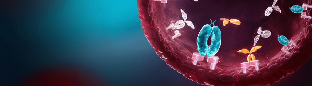 Graphic of efgartigimod fragment, IgG antibodies, and IgG autoantibodies within the FcRn