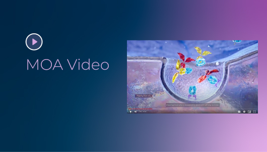 CIDP MOA Video